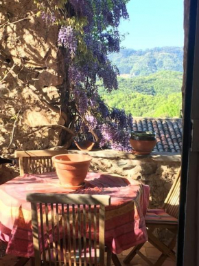 Quaint 500 yr old Stone House w/ Fabulous Views